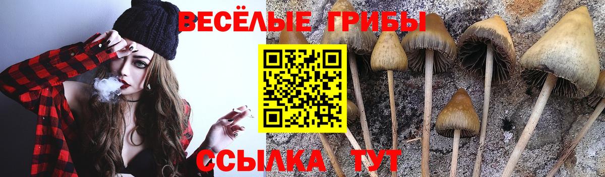 Псилоцибиновые грибы ЛСД  магазин продажи наркотиков  Симферополь  Галлюциногенные грибы Psilocybe  Вход с VPN 